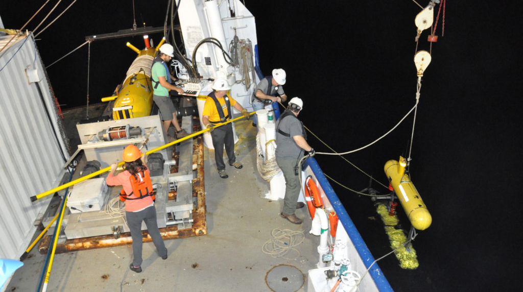 Study Describes Seabed Conditions at Oil and Gas Seep Site in Gulf of Mexico